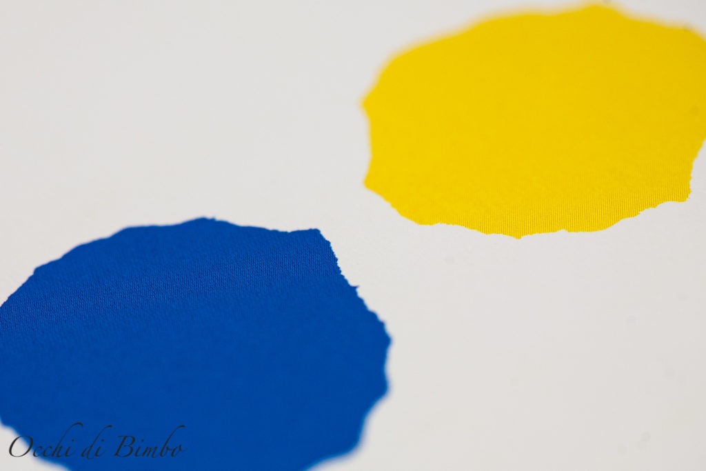 Piccolo blu e piccolo giallo un libro di Leo Lionni - 2022